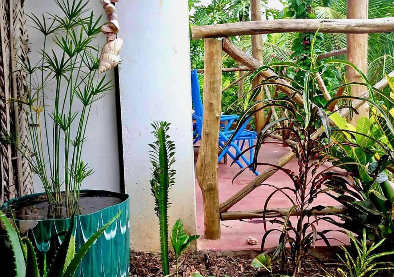 Kilimani House Bed & Breakfast Nungwi Ngoại thất bức ảnh