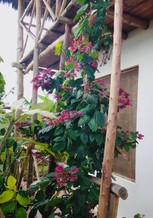 Kilimani House Bed & Breakfast Nungwi Ngoại thất bức ảnh