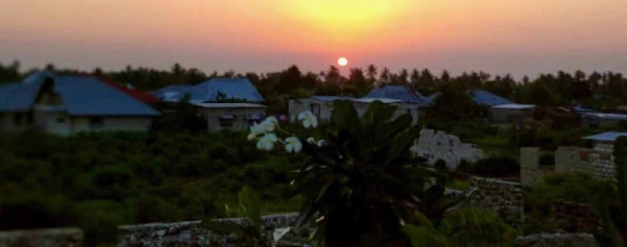 Kilimani House Bed & Breakfast Nungwi Ngoại thất bức ảnh