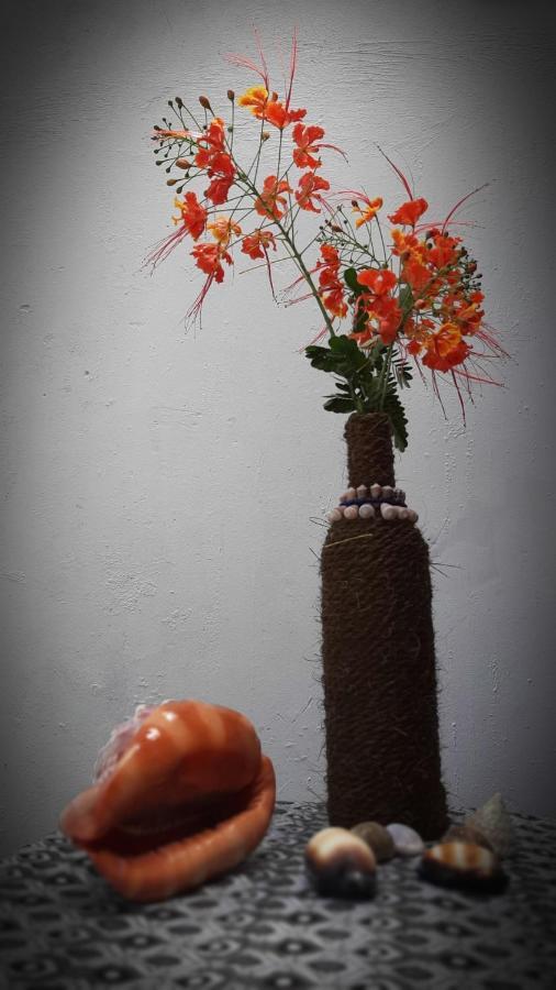 Kilimani House Bed & Breakfast Nungwi Ngoại thất bức ảnh